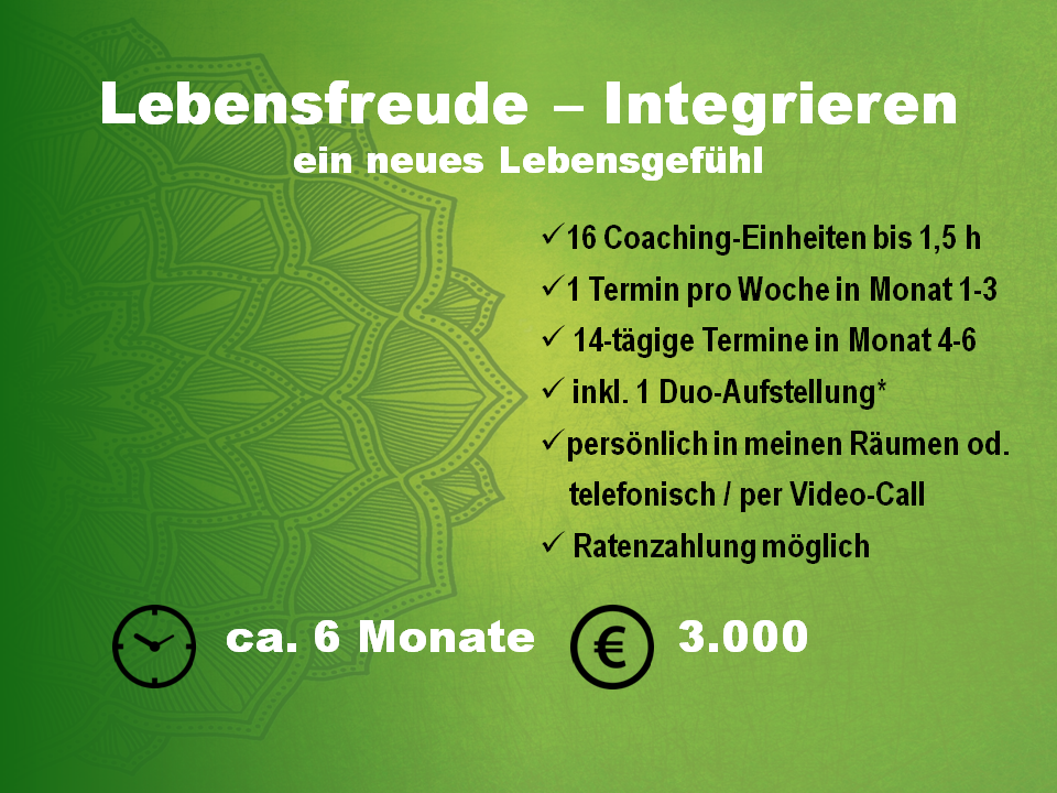 Coaching, Lifecoaching, Lebensberatung, Begelitung für die Dauer von 6 Monaten. 16 Coachingeinheiten bis 1,5 Stunden, inkusive einer Duo-Aufstellung, wenn gewünscht. Ratenzahlbar, Paketpreis 3.000€