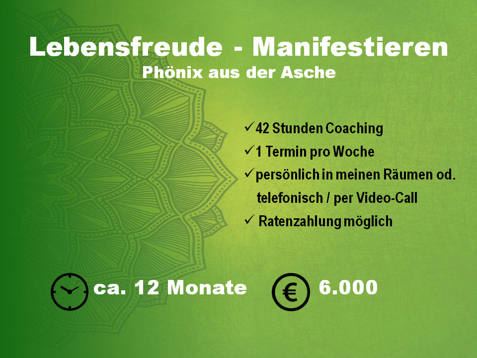 Coaching, Lebensberatung, Begleitung für die Dauer eines Jahres. 42 Coachingstunden, turnus wöchentlich, Ratenzahlung möglich, Paketpreis 6000€